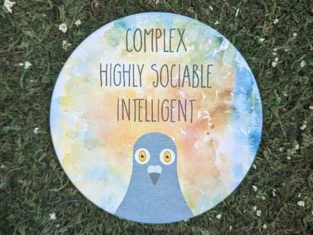 Relatable Animals - Pigeon - Round Stone Coaster Online Hot Sale