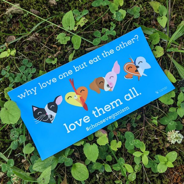 Why Love One but Eat the Other?  Vegan Message Vinyl Bumper Sticker Cheap