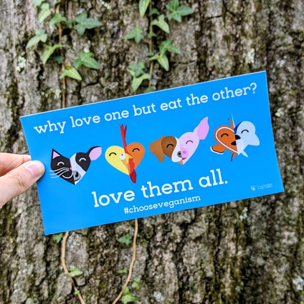 Why Love One but Eat the Other?  Vegan Message Vinyl Bumper Sticker Cheap