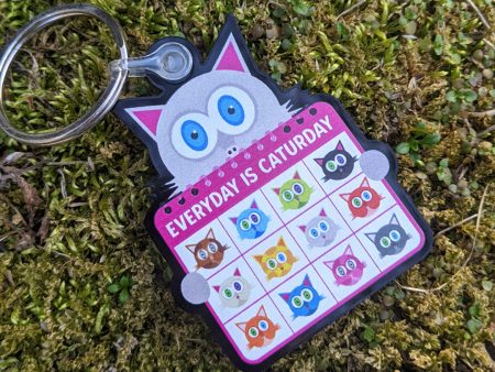 Everyday is Caturday  Printed Recycled Acrylic Cat Keychain Cheap