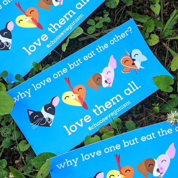 Why Love One but Eat the Other?  Vegan Message Vinyl Bumper Sticker Cheap