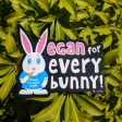 Vegan for Everybunny!  Car Magnet, Bunny Rabbit Fridge Magnet For Sale