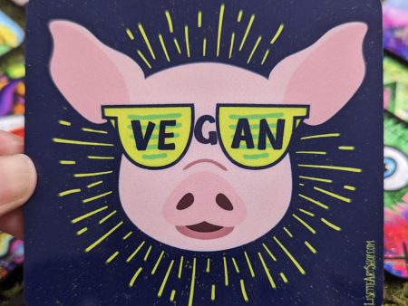 Vegan Sunglasses  Cool Pig Coaster For Cheap