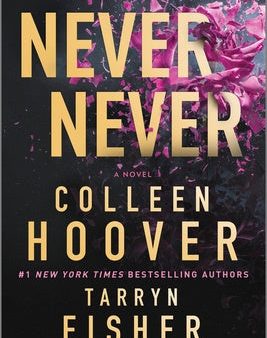 Never Never: A Romantic Suspense Novel of Love and Fate Sale