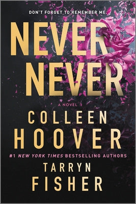 Never Never: A Romantic Suspense Novel of Love and Fate Sale