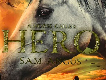 A Horse Called Hero For Discount