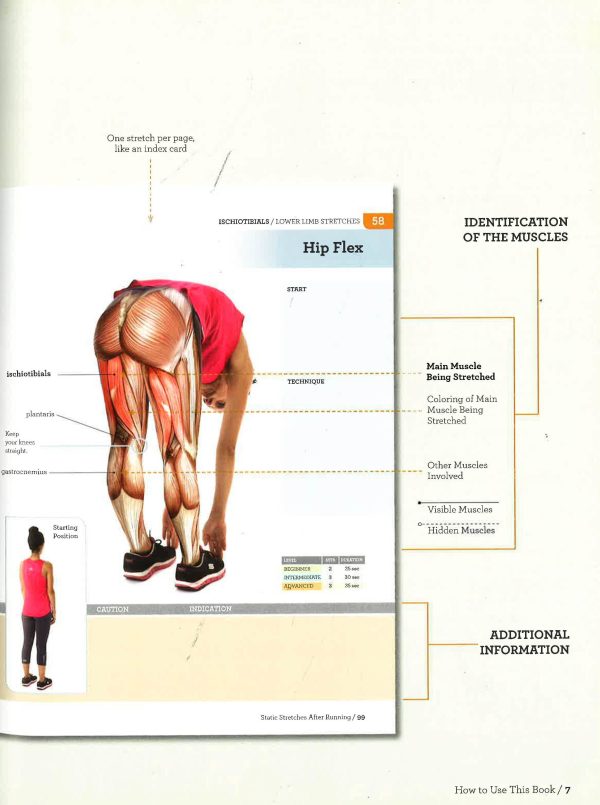 Anatomy And 100 Stretching Exercises For Runners Online